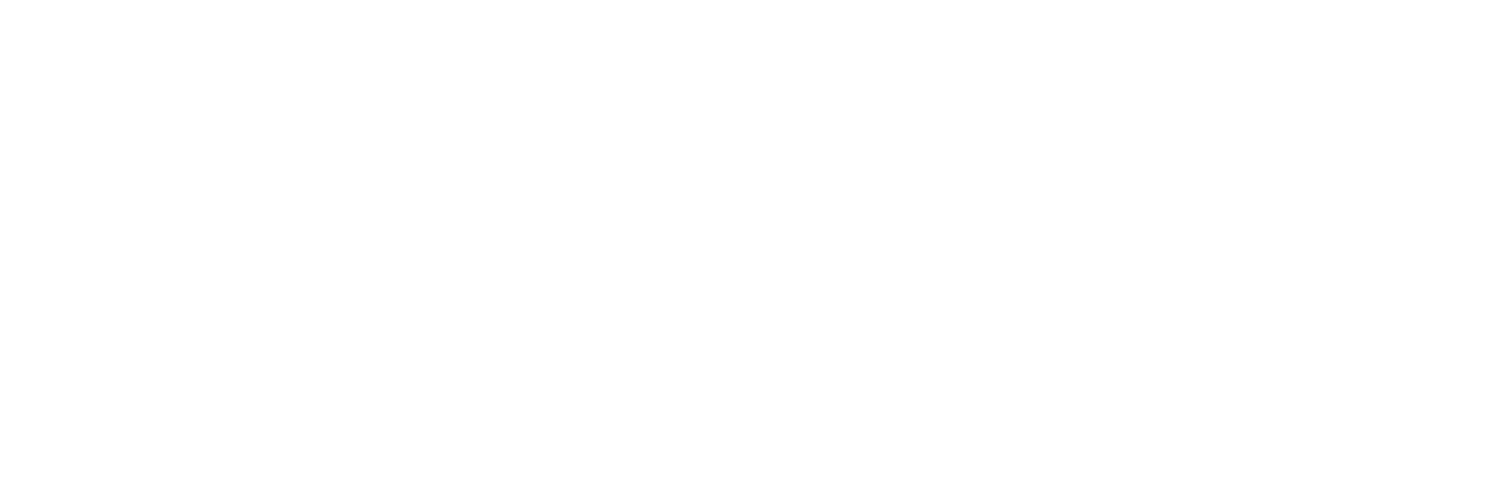 Logo Phoenix - Blanco